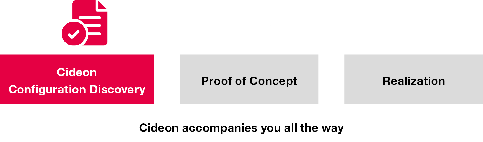 Cideon Configuration Discovery Workshop