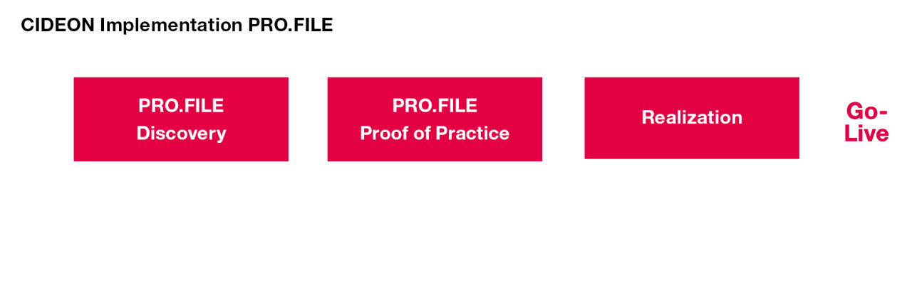 Professional implementation of PRO.FILE in your company